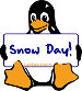 winter penguin
